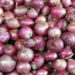 Imports of duty free onions, tomatoes start arriving from Afghanistan