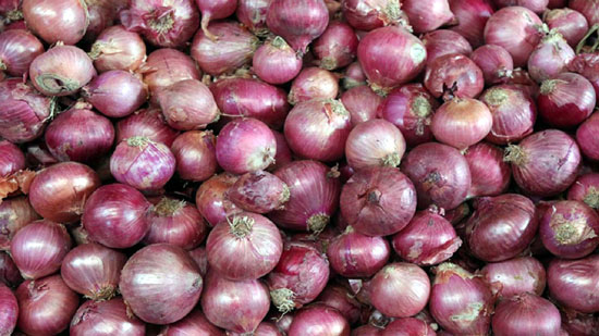 Imports of duty free onions, tomatoes start arriving from Afghanistan