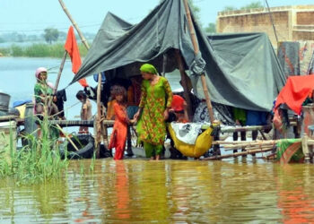 Estimated economic loss to  Pakistan from floods up to $12.5b