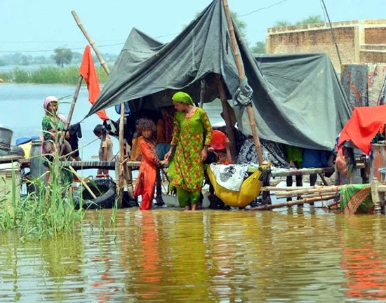 Estimated economic loss to  Pakistan from floods up to $12.5b