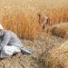 Two-day’s national conference held under plan to increase national production of wheat