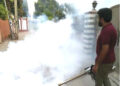 RCB to take steps for controlling dengue