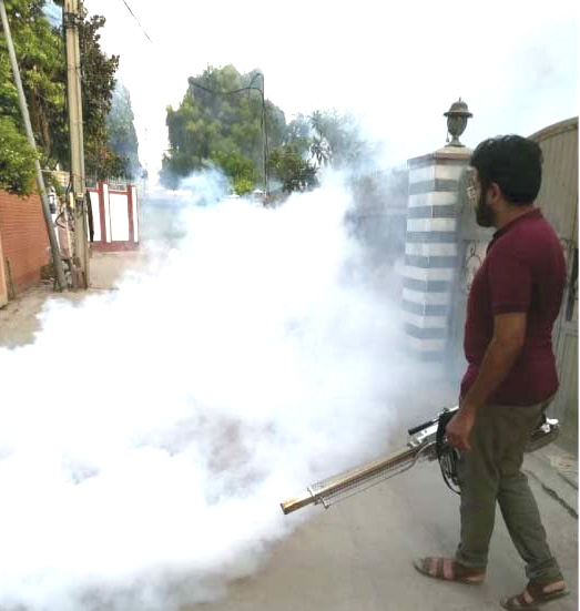 RCB to take steps for controlling dengue