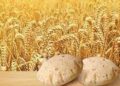 Over 8.664 million tons wheat available for  domestic consumptions