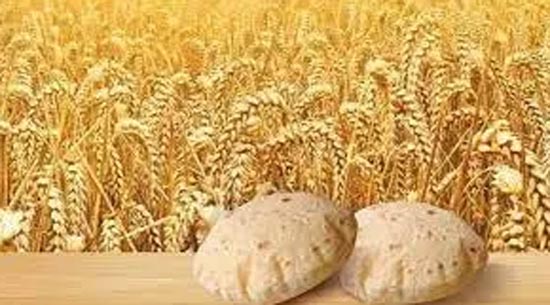 Over 8.664 million tons wheat available for  domestic consumptions