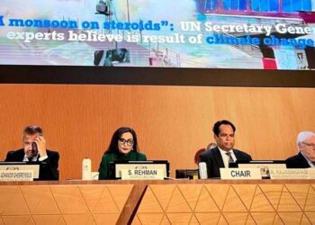 Maryam accuses Imran of  seeking NRO in secret  President House meetings