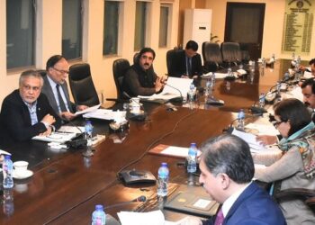 PML-N to expose false propaganda of PTI chairman: Minister