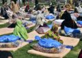 Govt set to avert food crisis after floods