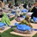 Govt set to avert food crisis after floods