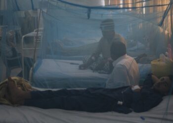 Dengue on decline