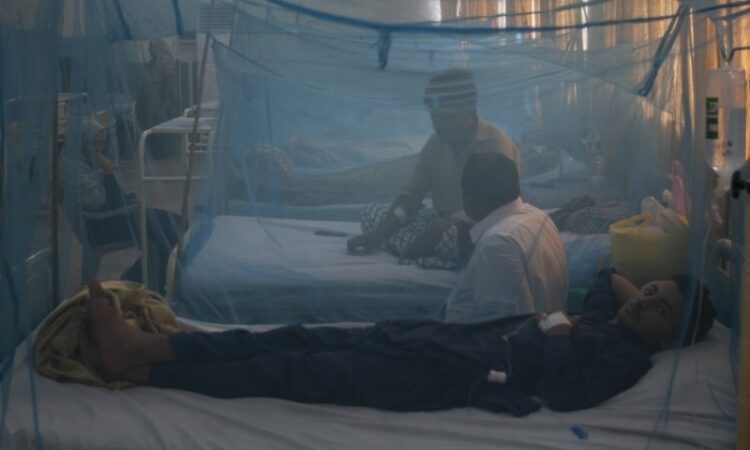 Dengue on decline