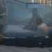 Dengue on decline