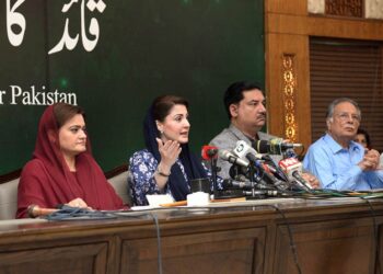 Maryam accuses Imran of  seeking NRO in secret  President House meetings
