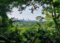 CDA to set up Miyawaki  forest on 17 acres of land
