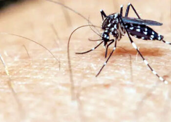 127 test positive for dengue from twin cities