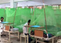 Another 273 test positive for dengue