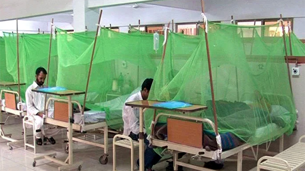 Another 273 test positive for dengue