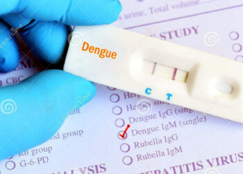 Another 365 test positive  for dengue