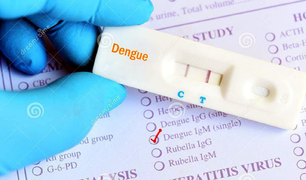 Another 365 test positive  for dengue