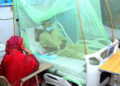 175 dengue cases from twin cities