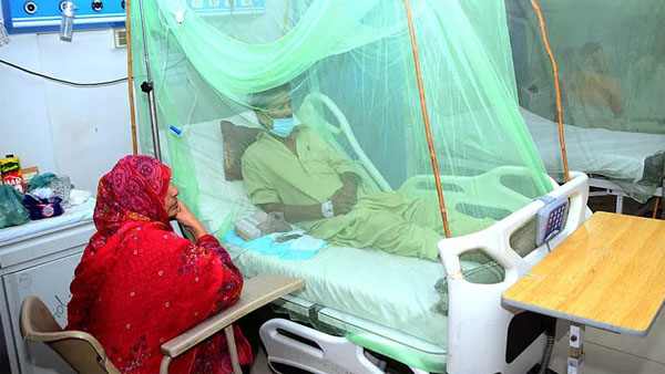 175 dengue cases from twin cities