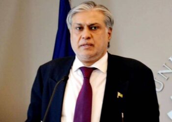Govt accords top priority to development of IT sector: Ishaq Dar