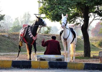 Pakistan’s default risk worsens