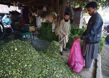 Governor KPK asks  business community to tap  investment potential of KPK