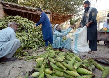 Pakistan’s default risk worsens