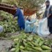 Pakistan’s default risk worsens
