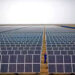NTDC to install 2,400MW solar power plants in Punjab