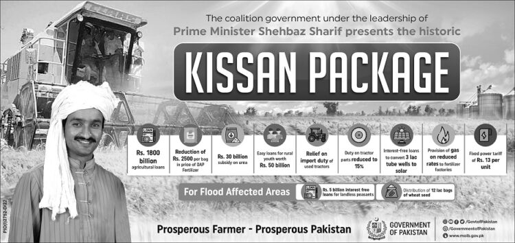 Attack on Imran Khan an attack on Pakistan’s security: Sheikh Rasheed