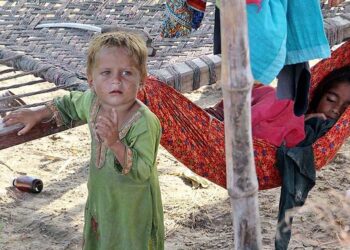 Business community asked to tap Canada for trade and exports