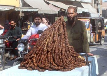 Business community asked to tap Canada for trade and exports