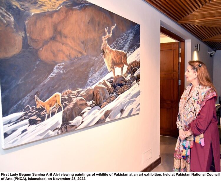 Customs seizes 5,000 mobile phones smuggled from Dubai in boat