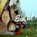 MCI holds auction for Eid-ul-Adha cattle markets