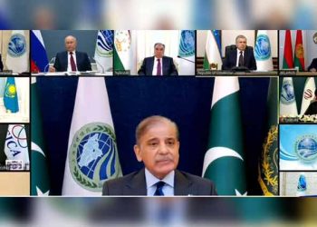 Terrorism should be condemned in all its forms, PM Shehbaz tells SCO moot