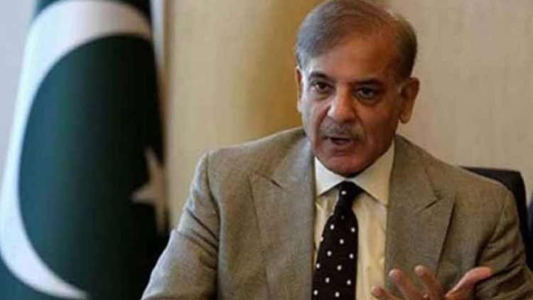Pakistan eyes GCC’s $40bn investment in agri sector in five years