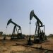 OGDCL provisionally awarded new exploration blocks in Sindh, Punjab