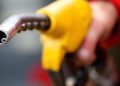 Oil on track for second straight weekly gain on resilient demand