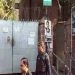 Two killed on Lahore’s sessions court premises