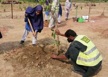 Chairman CDA participated in plantation drive along with school children
