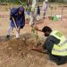 Chairman CDA participated in plantation drive along with school children