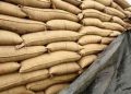 796 bids to smuggle wheat foiled, 16981 MT of wheat foiled