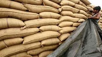 796 bids to smuggle wheat foiled, 16981 MT of wheat foiled
