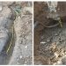 Gas theft crack dawn: 87 more gas connections disconnected in Punjab, Khyber Pakhtunkhwa and Islamabad