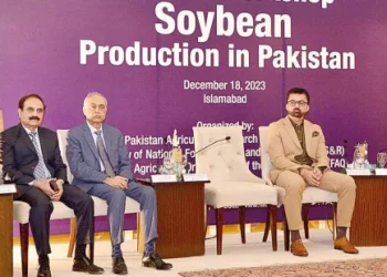 Government’s Commitment to Self-Sufficiency in Soybean Production Echoed at National Workshop