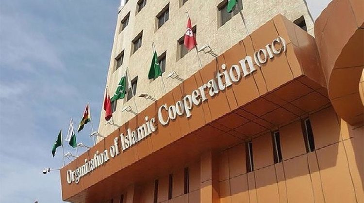OIC Expresses Concern Over Indian Supreme Court’s Verdict on Jammu and Kashmir