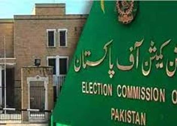 Two transgenders to contest for provincial, national assembly seats