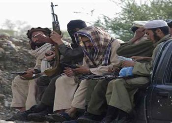 Peace talks enabled TTP to resettle and regroup, Senate told